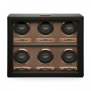 Axis 6 Piece Watch Winder